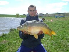Sustra 2012 jud Timis
